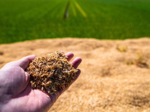 米作りの肥料をイメージした画像です。