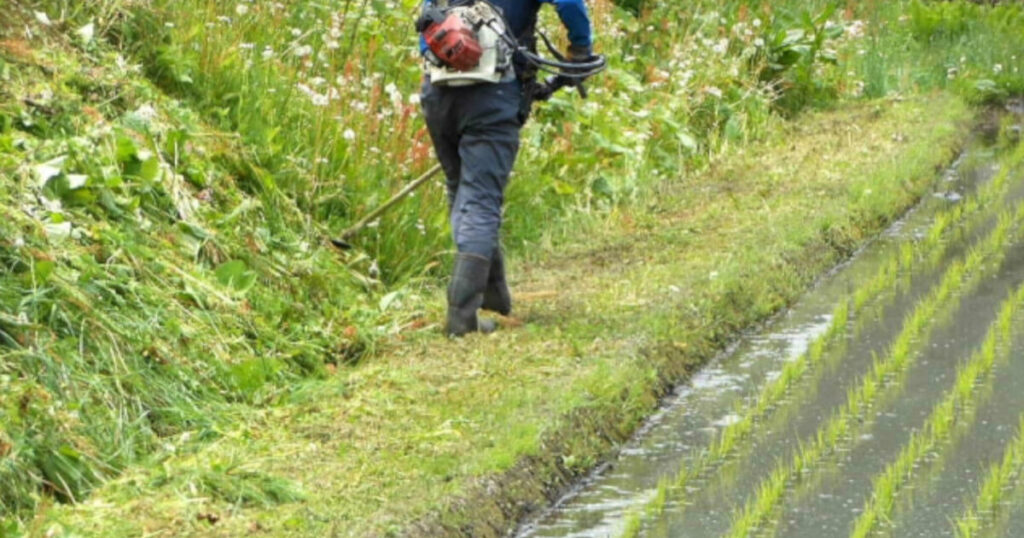 田んぼで草刈り機を使用している風景の画像です。