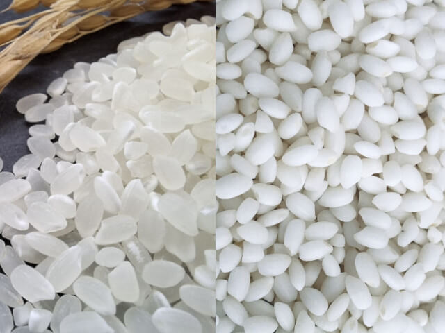 うるち米ともち米の違いをイメージした画像です。